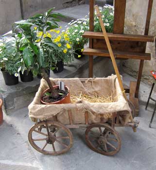 Old wheelbarrow in wood