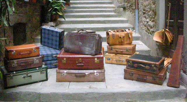 Leather suitcases